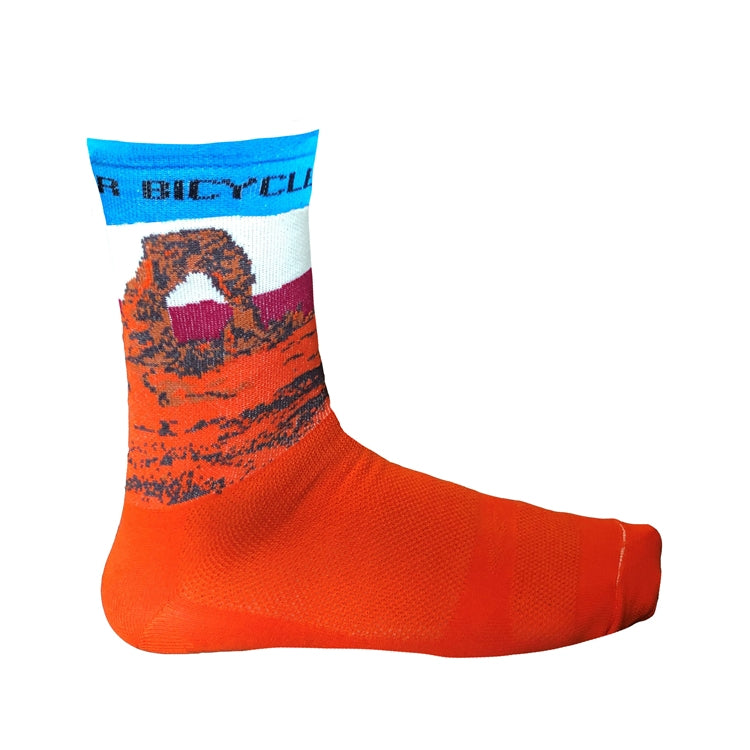 DeFeet Fancy Arch Sock