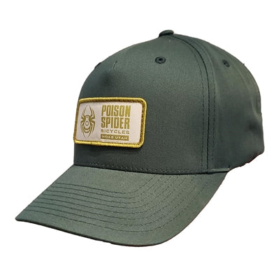 The High Life (Dark Green/Curved Bill/Gold)