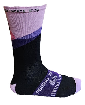 Giro MERINO Seasonal (Purple/Pink)