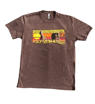 Balanced Rock T-Shirt (Brown)