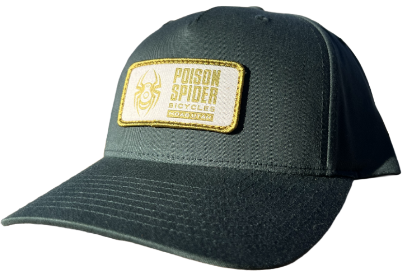 The High Life (Dark Green/Curved Bill/Gold)